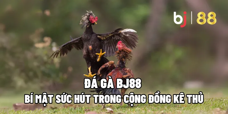 da ga bj88